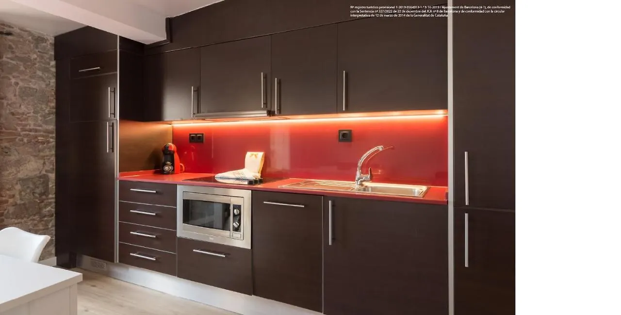 Barnapartments Raval Barcelona Apartment